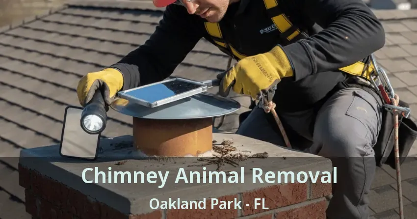 Chimney Animal Removal Oakland Park - FL