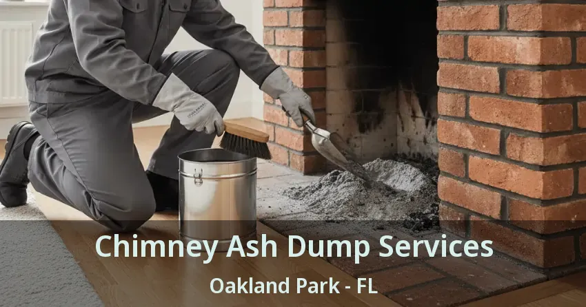 Chimney Ash Dump Services Oakland Park - FL