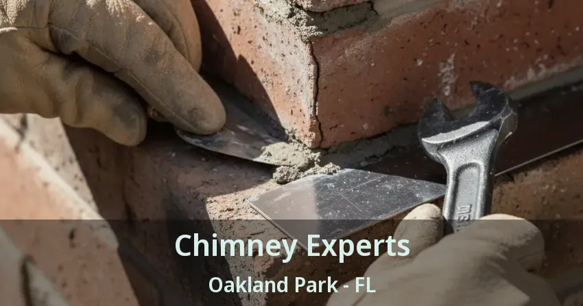 Chimney Experts Oakland Park - FL Chimney Experts Oakland Park - FL