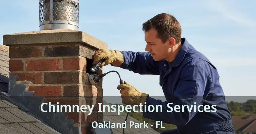 Chimney Inspection Services Oakland Park - FL