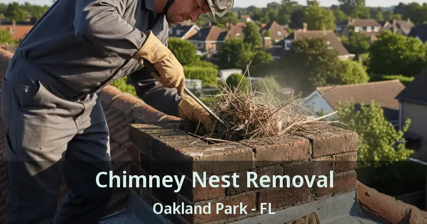 Chimney Nest Removal Oakland Park - FL