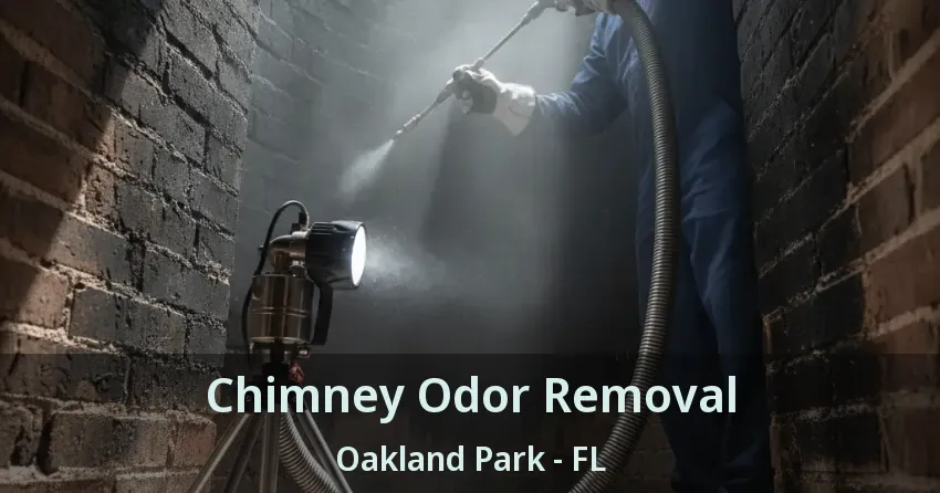 Chimney Odor Removal Oakland Park - FL