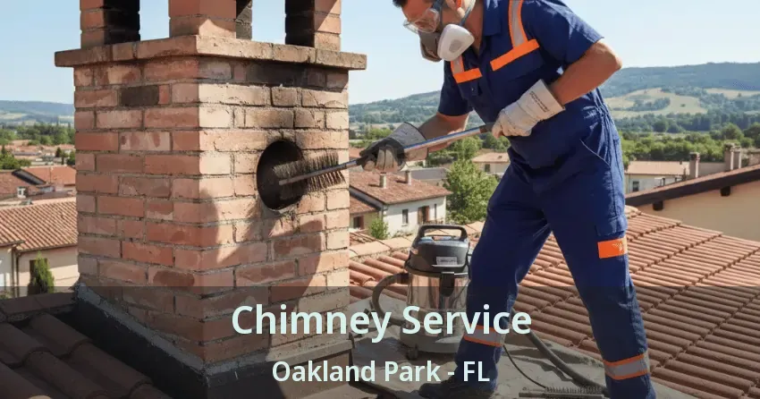 Chimney Service Oakland Park - FL