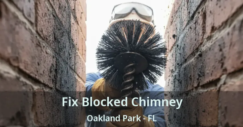 Fix Blocked Chimney Oakland Park - FL Fix Blocked Chimney Oakland Park - FL