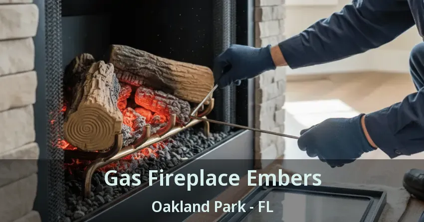 Gas Fireplace Embers Oakland Park - FL