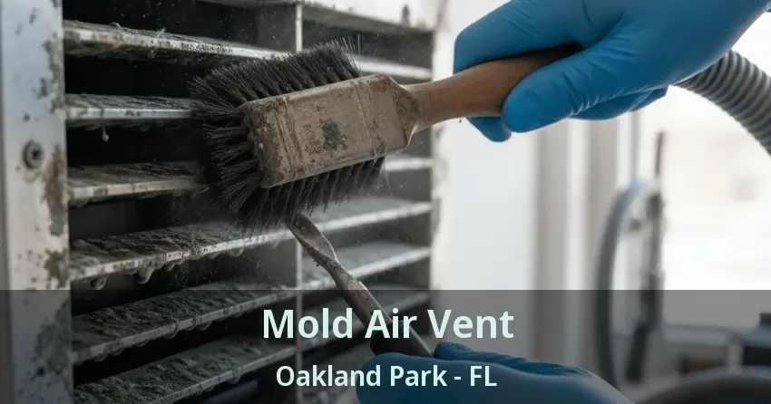 Mold Air Vent Oakland Park - FL
