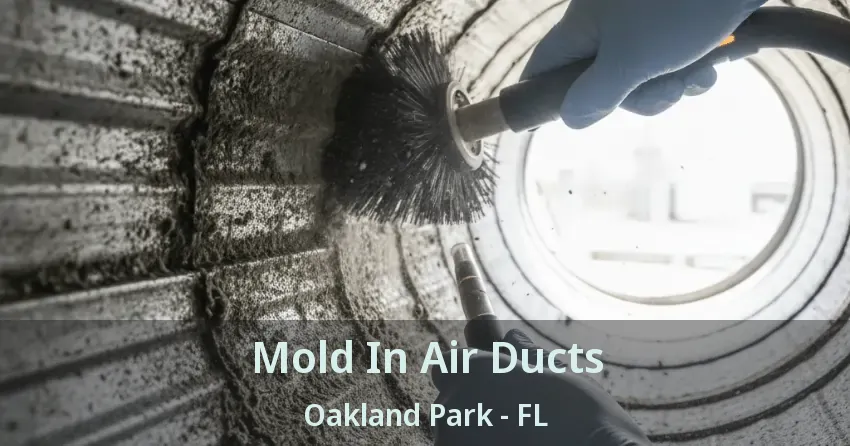 Mold In Air Ducts Oakland Park - FL