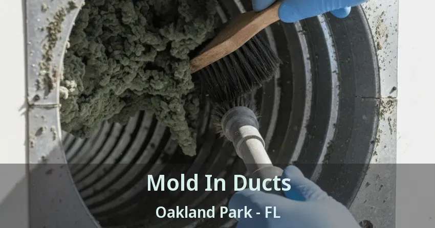 Mold In Ducts Oakland Park - FL