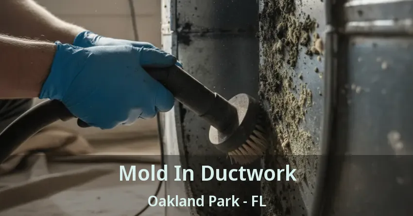 Mold In Ductwork Oakland Park - FL