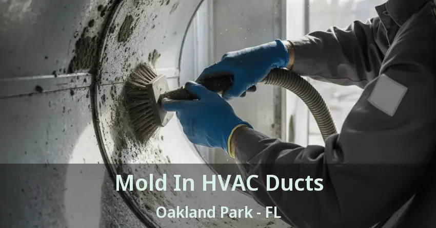 Mold In HVAC Ducts Oakland Park - FL