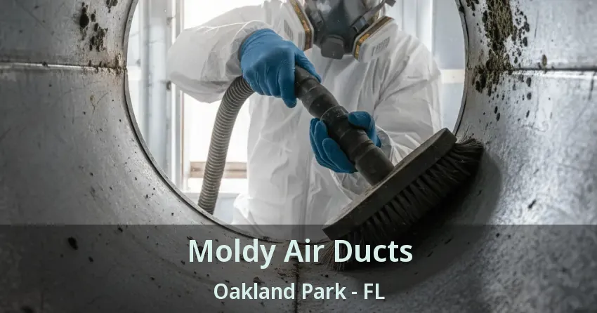 Moldy Air Ducts Oakland Park - FL
